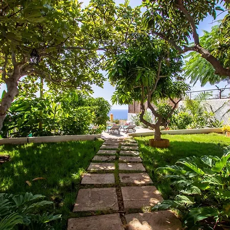 Vila The Mango House *