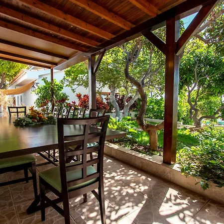 Vila The Mango House Santa Cruz de Tenerife