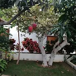 Villa The Mango House Santa Cruz de Tenerife