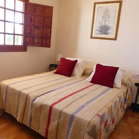 The Mango House Санта-Крус-де-Тенерифе