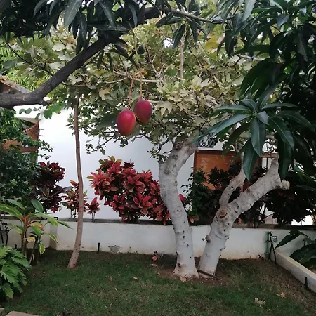 Вилла The Mango House Санта-Крус-де-Тенерифе